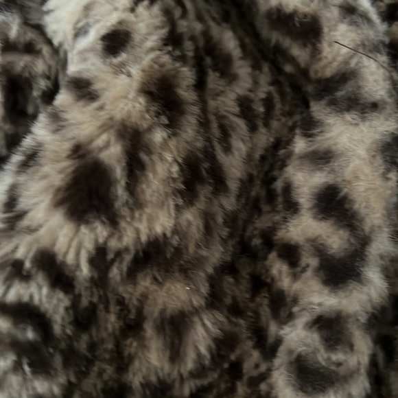 NEW no tags Girls C&Ccalifornia Leopard coat lined Sz 6 - Picture 2 of 9